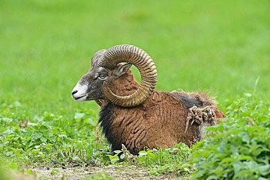 沉浸式模拟游戏《模拟火车世界5》正式发售 已获多半好评