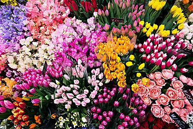 命途多舛的《黑暗之魂3》PC服务器又重新上线了